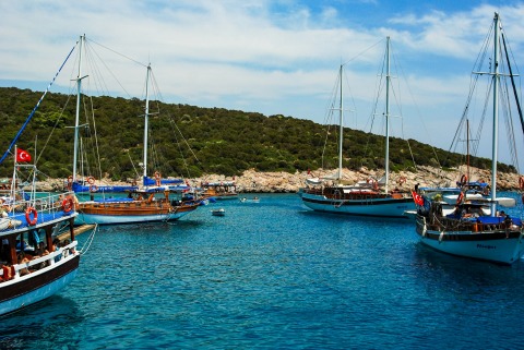 Wooden gulets and sailboats moored in a calm turquoise bay with a tree-covered rocky shore
