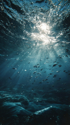 Underwater scene with sunlight streaming through the surface, rocky seafloor and a school of small fish