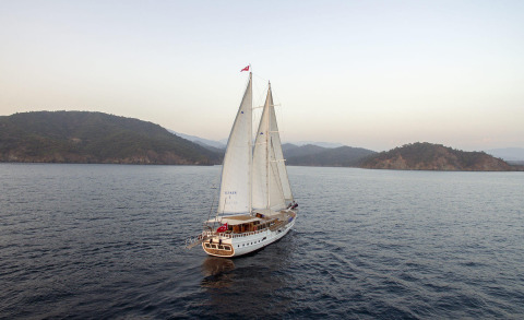 Kayhan 8 sailing yacht with white hull gliding near forested coastline at sunset