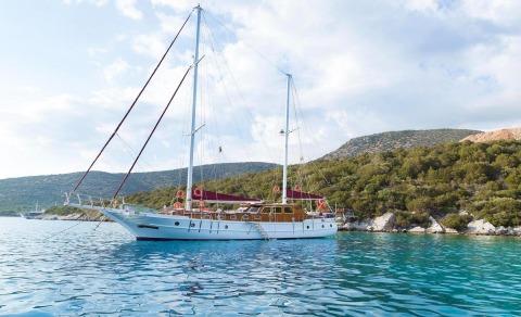 A large sailing yacht with a wooden deck, anchored in blue water with a forested coastline in the background