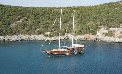 Wooden-hulled sailing yacht with a cockpit canopy moored in calm blue water by rocky shore
