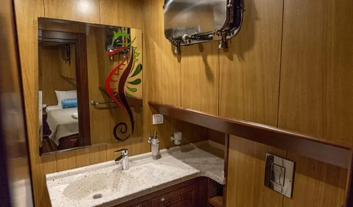 Master cabin with king bed, ensuite, wood paneling and built-in shelves