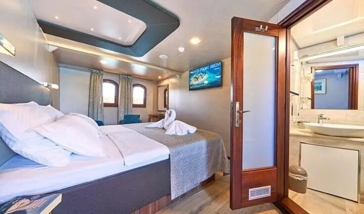 Master cabin with king bed, ensuite, soft lighting, wooden accents