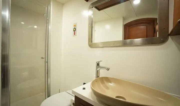 Virtuoso cabin bathroom featuring a beige vessel sink and modern chrome faucet