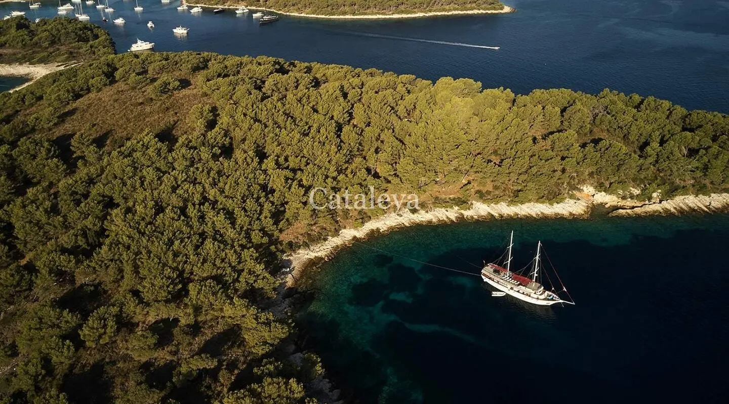 Aerial view of a luxury yacht anchored near a lush forested coastline and curved beach