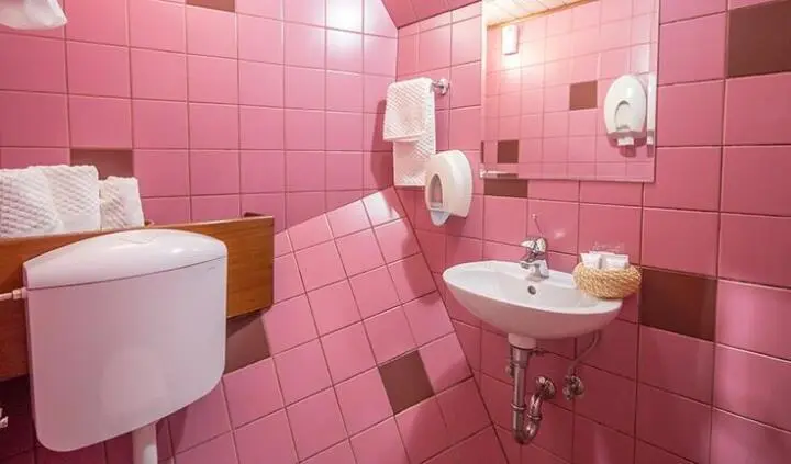 Cabin aboard Altair: pink tiled bathroom with sink, mirror, and toilet