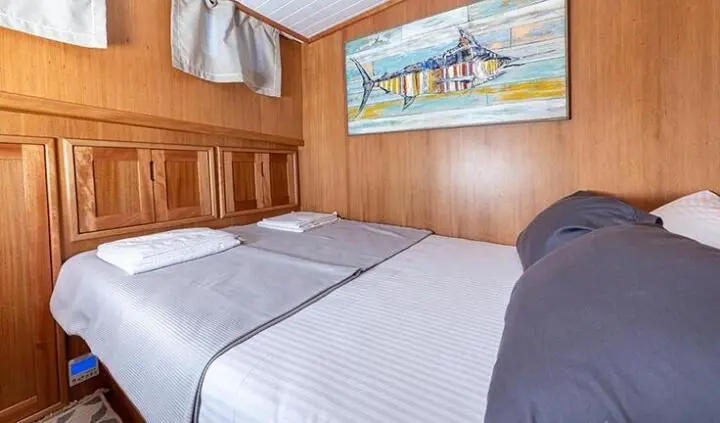 Twin bed cabin with wood paneling and a wall-mounted artwork above