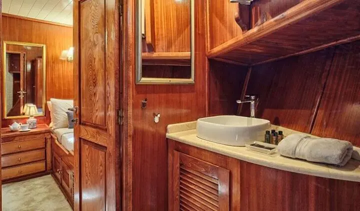 Just Marie 2 master cabin with king bed, wood paneling, sink area, and mirror
