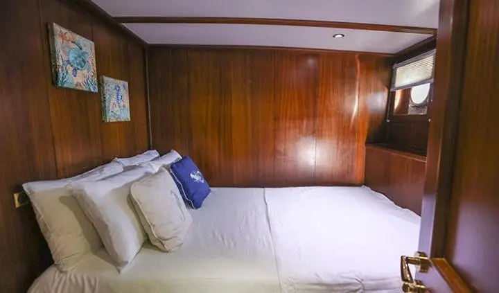 Gazella cabin with two single beds and wooden panel walls