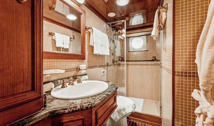 Seagull II cabin with bed, wood cabinetry, circular sink, compact ensuite