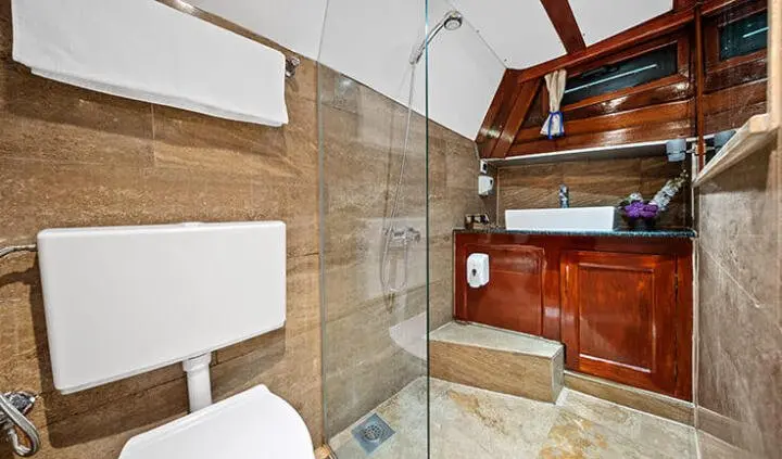 Eleganza master cabin ensuite with wooden cabinetry and tiled shower enclosure