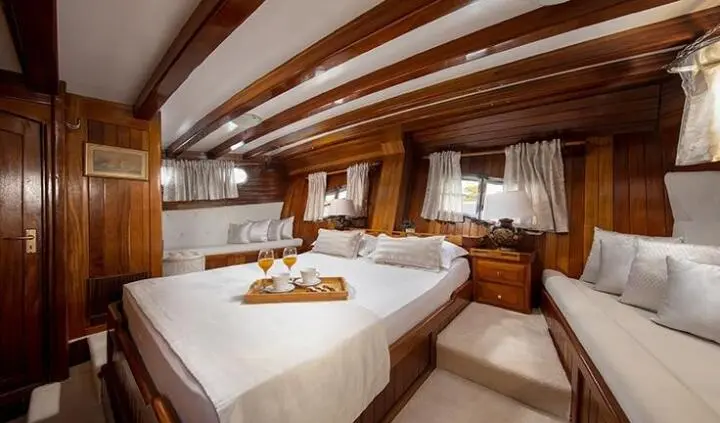 Andi Star cabin with king bed, white linens, wood paneling, ensuite bathroom visible