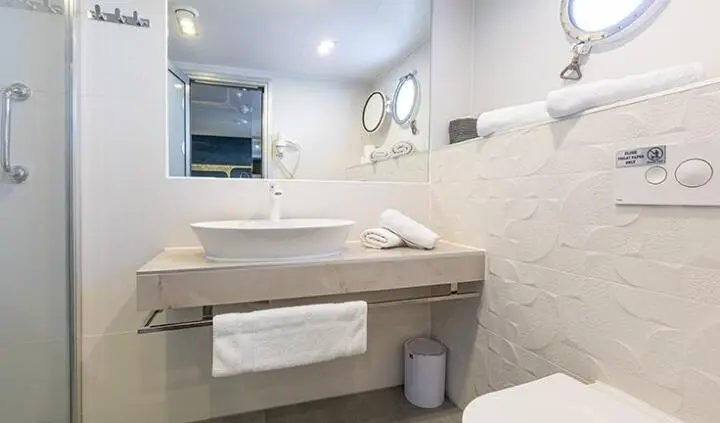 Yacht YOLO en-suite cabin bathroom with sink, mirror, towel rack, and shower.