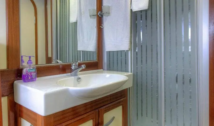 Master cabin with king bed, wood cabinetry, and ensuite sink area