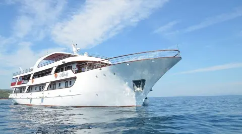 Melody yacht in white cruising on open sea, side view with bow