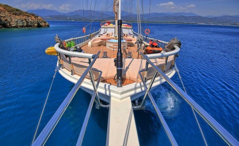 Queen Of Salmakis gulet on a bright blue sea with a spacious forward deck, seating and equipment along the rails, and a distant coastline in the background