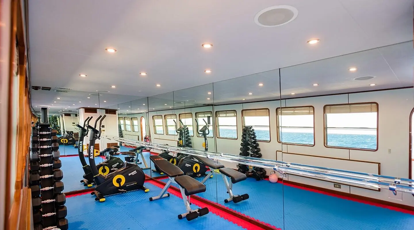 Wind Of Fortune yacht gym interior with fitness equipment and windows